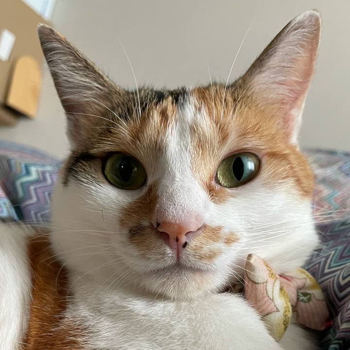 F7e678ac 6764 4b3b 8850 29ea9090ef33 1631326400919