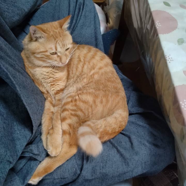 F7e6925e 8766 4f5f bf59 5e1e86f65783 1664849405360