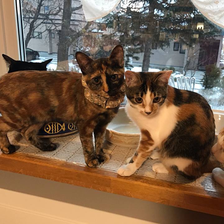 F7e6dbed 6ec4 4e49 9a96 da17c7b10698 1606859066395