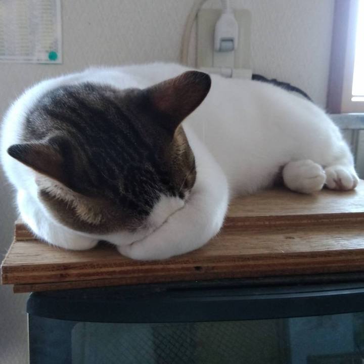 F7e6e692 dc96 4bc9 b81b da3a82960264 1696723829355