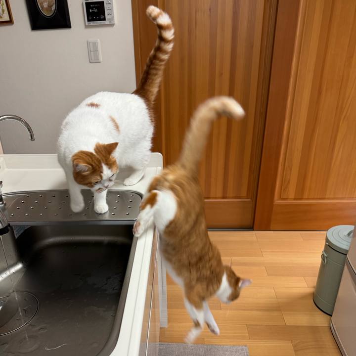 F7e6f04d a008 4f7f bc6e 2de2a861a53c 1775097194102