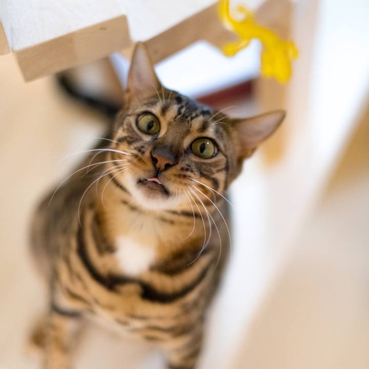 F7e6fe64 3090 4e72 af92 0f262b302742 1520784885488