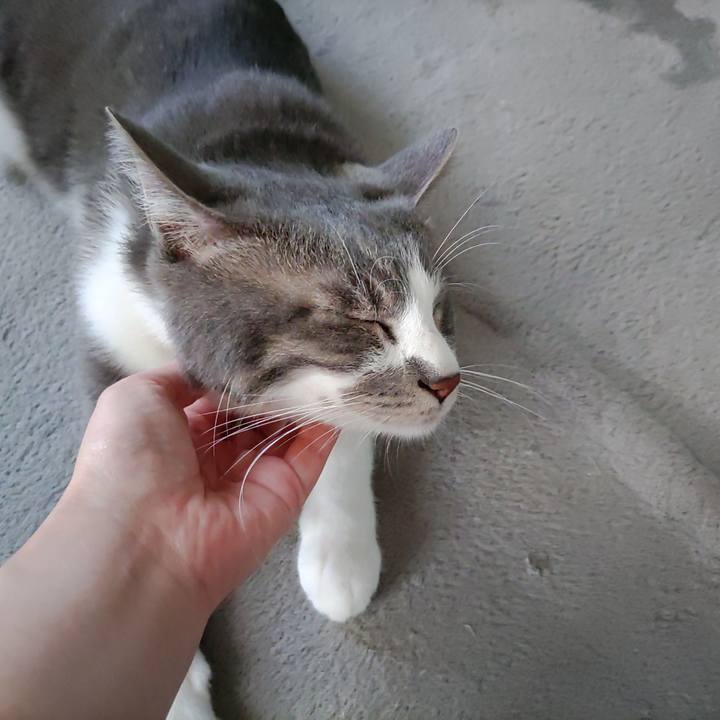 F7e7083c 4a33 47eb a0eb 912690ce8a2e 1691198194821