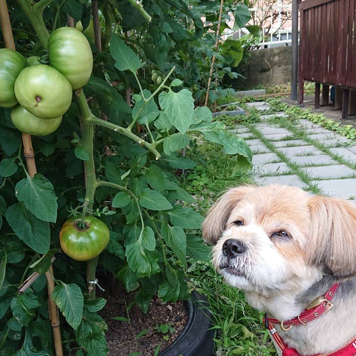 F7e71738 97e4 4b4b b105 f685b1bad814 1593557486354