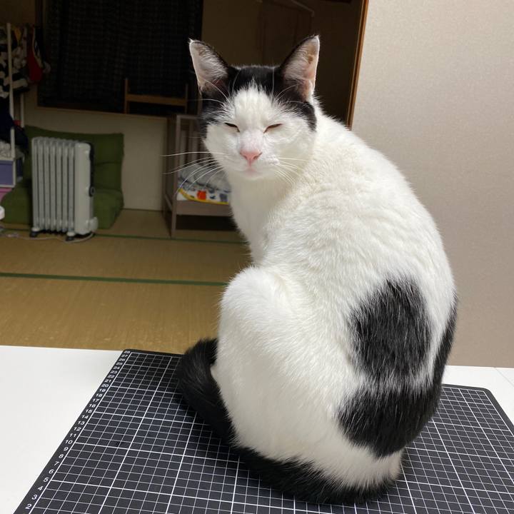 F7e77f6c 4362 4f51 b385 5254b998e0bb 1645193716175