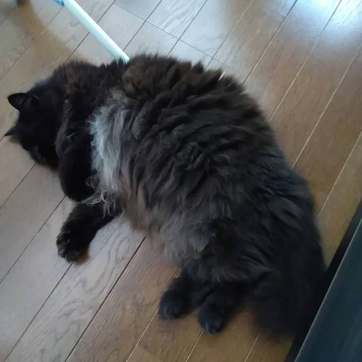 F7e791a4 f8b4 4b14 b330 092aee380260 1534765287024