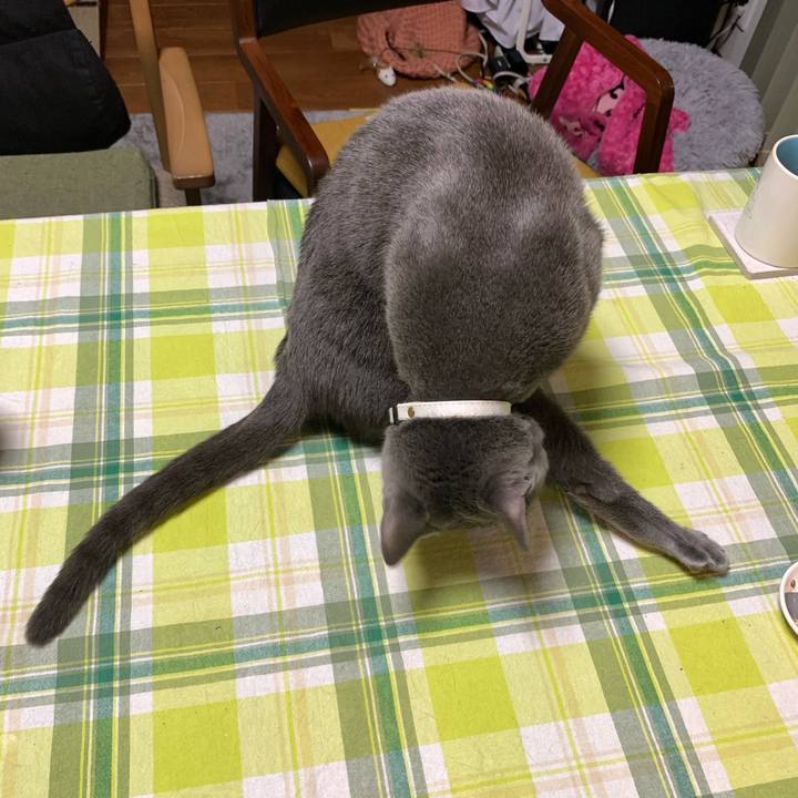 F7e7a413 a034 411b 94ee f90a300d7c3b 1649751484910