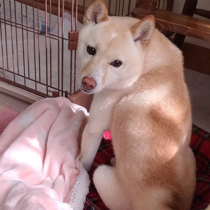 F7e7d655 3d74 493e b45c 0f861a77b7d1 1552179641788