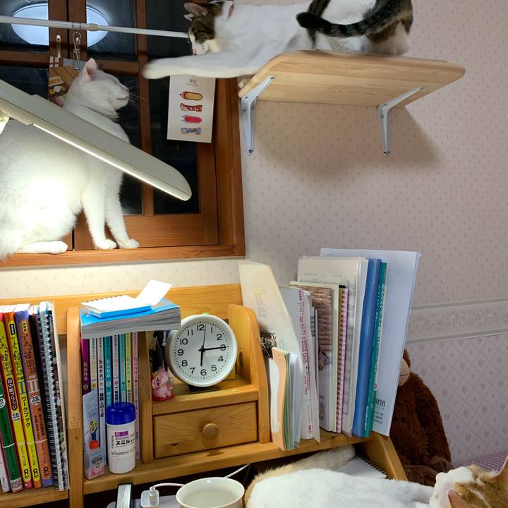 F7e8249b 10d0 4480 92bd 1dc9f5f7b343 1635111982515