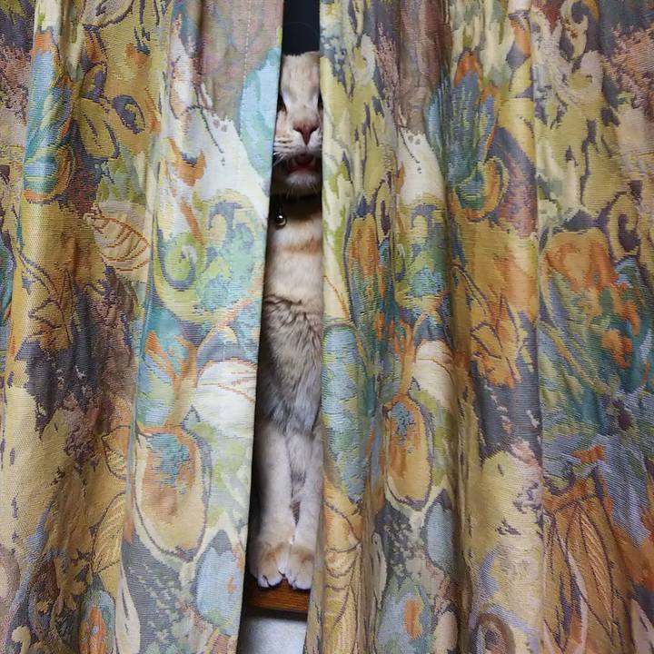 F7e82802 b364 4fbc a511 4ec776a938c7 1606040920128