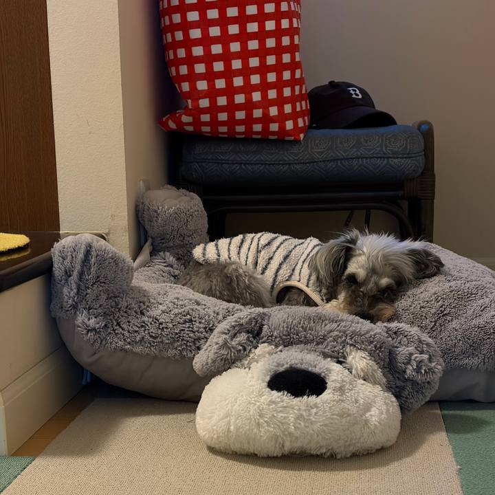 F7e86be3 f632 4dc5 bfff cc9288ea8270 1767614412751