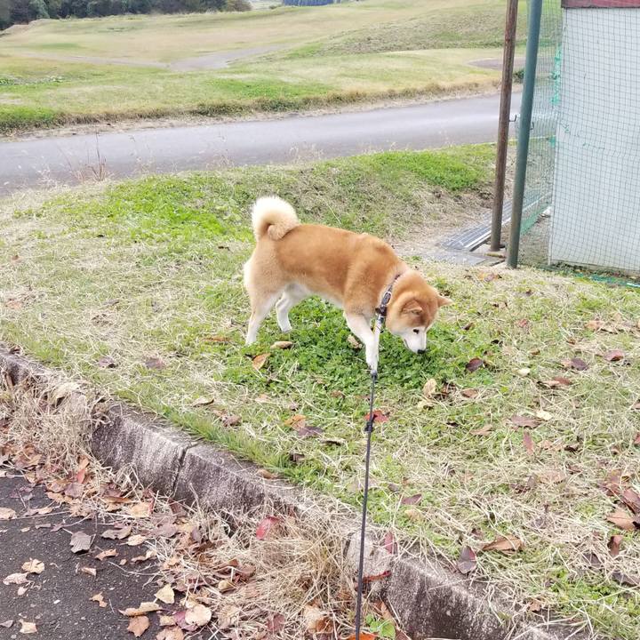 F7e885b7 b528 4093 b6ba 2aacd56015c9 1635918019387