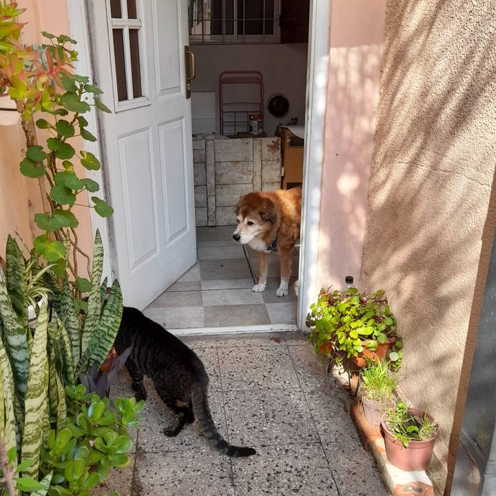 F7e8a400 6a43 4674 b204 cdbdd202b16a 1755914243136