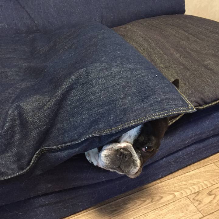 F7e8c060 dade 46c2 aae5 7bc2da310df7 1550144888063