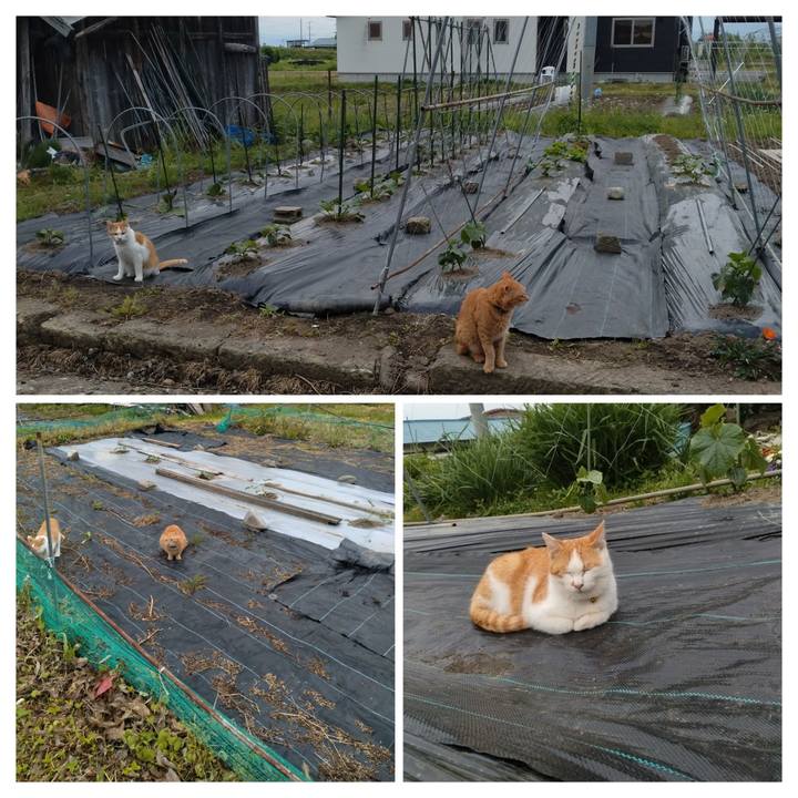 F7e8c3f4 feec 4f37 8e8a a0645026db7f 1748037196623