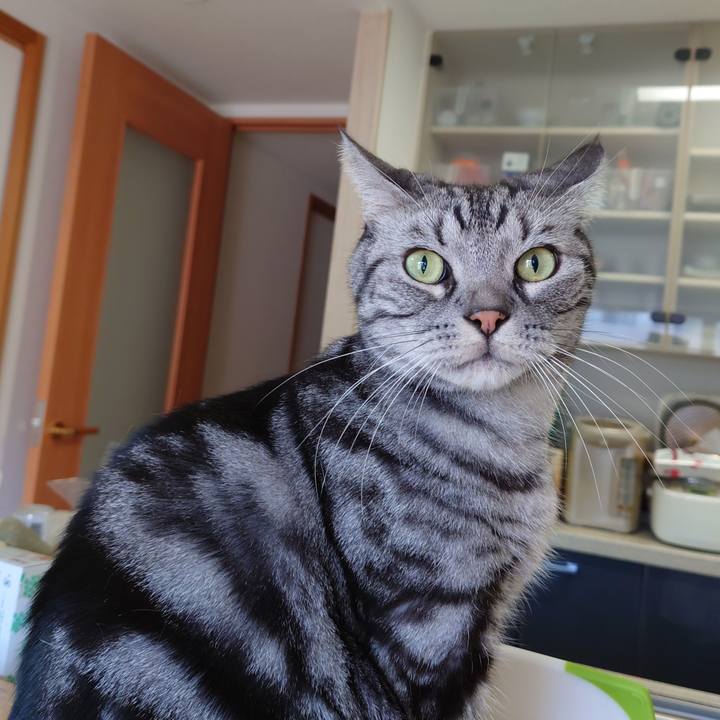 F7e9398b 5560 49d2 a7d3 1f728f9b60e4 1640831111710