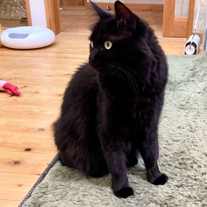 F7e96864 6d32 45e4 b465 be5f4a6c4326 1760089272146