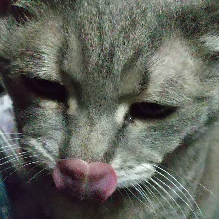 F7e96d05 0ff7 4037 9bf5 0305cea66415 1643807123040