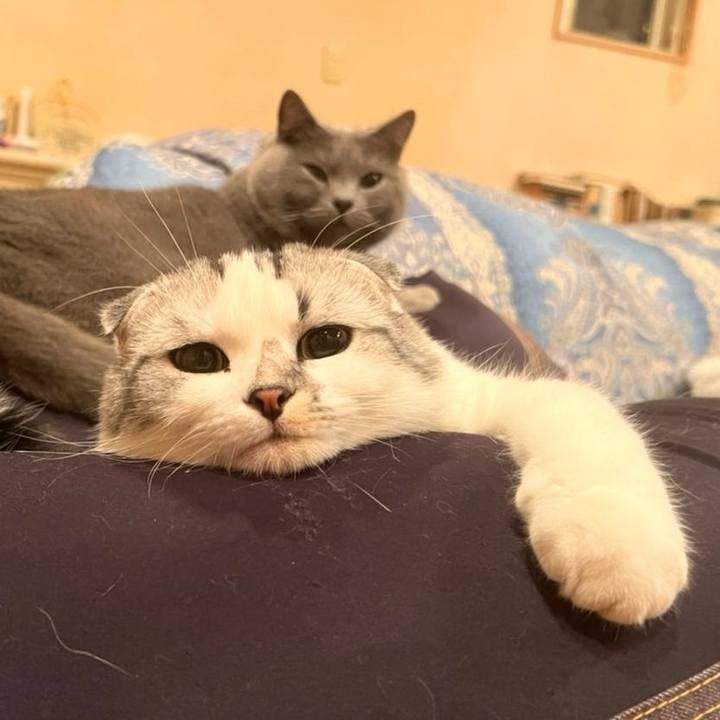 F7e96d57 992a 469f b41d 8cbe16788b58 1666753457363