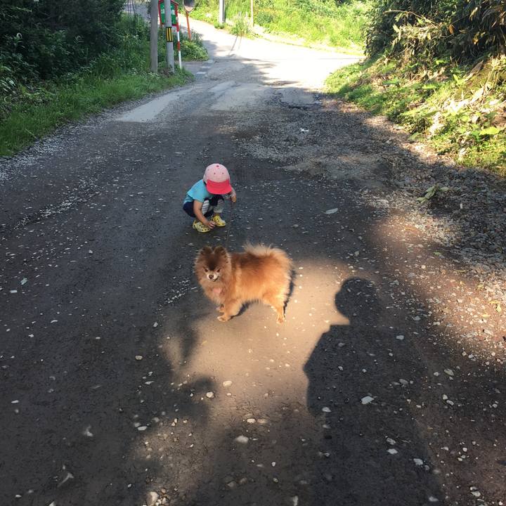 F7e98825 5139 4017 ba66 b68b4d08767d 1531572341773