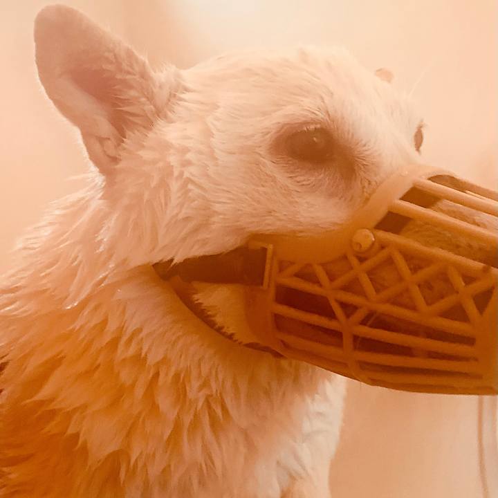 F7e998b7 c169 4f2d 86ca 1adcd996fbac 1604219124979