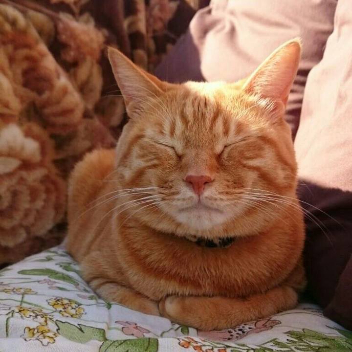 F7e9b0f5 cb3f 40d2 a2d2 6965b740784a 1541310559307