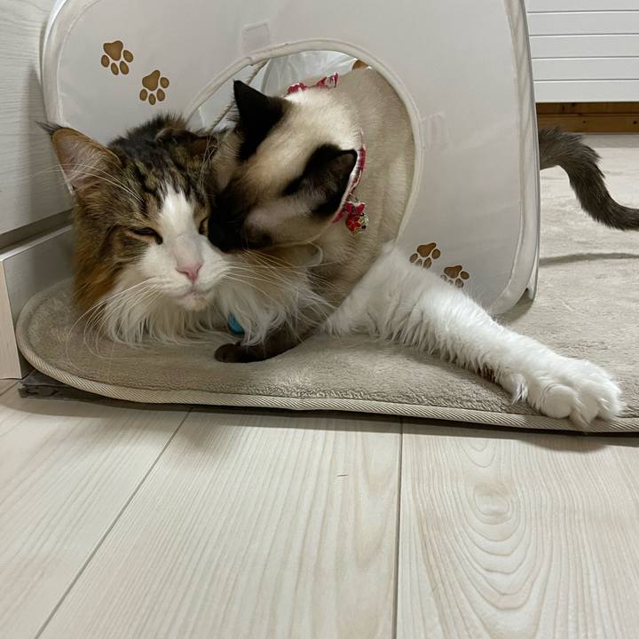 F7e9e463 dd6f 41b5 80b3 d6d945e2a4ec 1708716222276