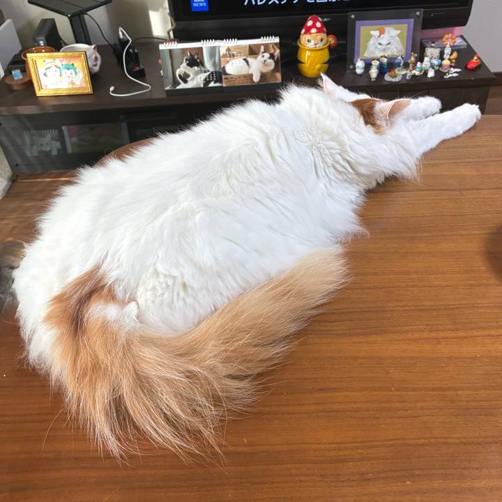 F7e9e864 81b6 4dab 9575 704e647daac8 1758512153389