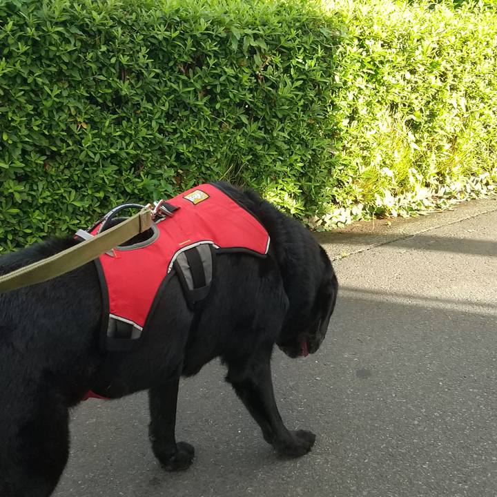 F7ea1da9 663a 4d5b 99ce 741e6a9e486d 1694251741641