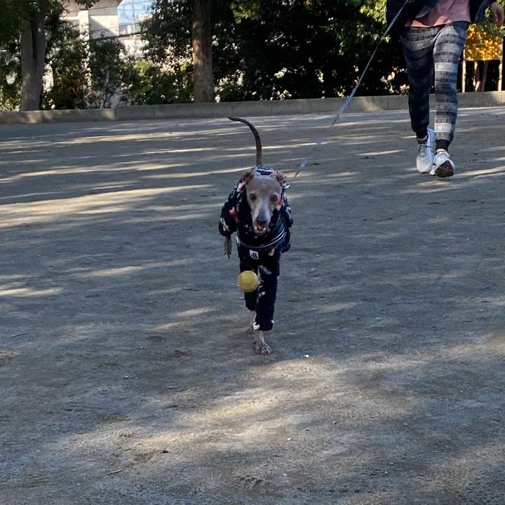 F7ea3227 9278 4328 8838 9cdc7758a81f 1767227920069