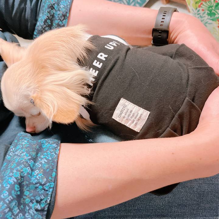 F7ea66a3 4b89 4fb6 8497 6ead271f95c7 1664098465379