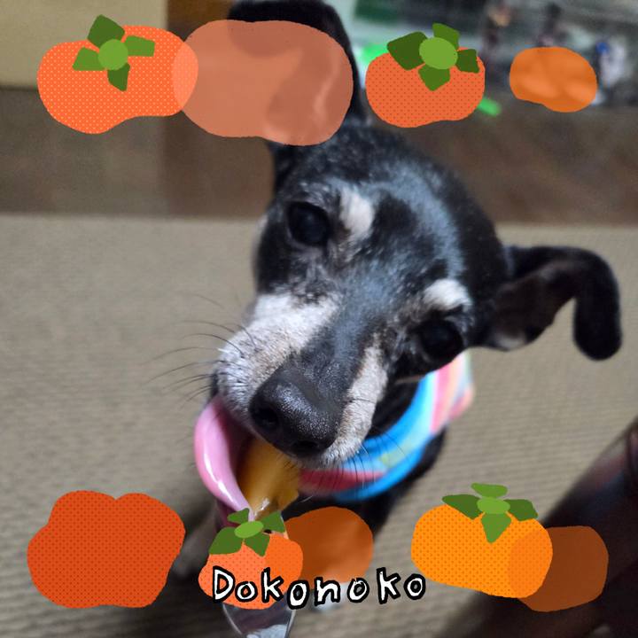 F7ea9ea4 045a 4344 88b5 2d132e540672 1761182536279