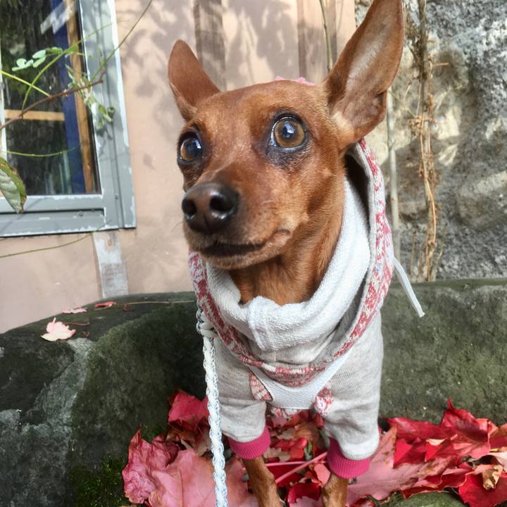 F7eac753 69be 416f a9f2 c283df62cf42 1604215868451