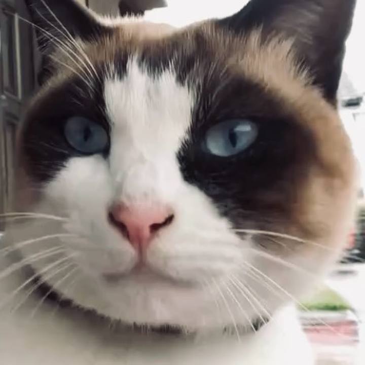 F7eac885 f2d1 42e7 b82e fe5ae1f97056 1734573199497