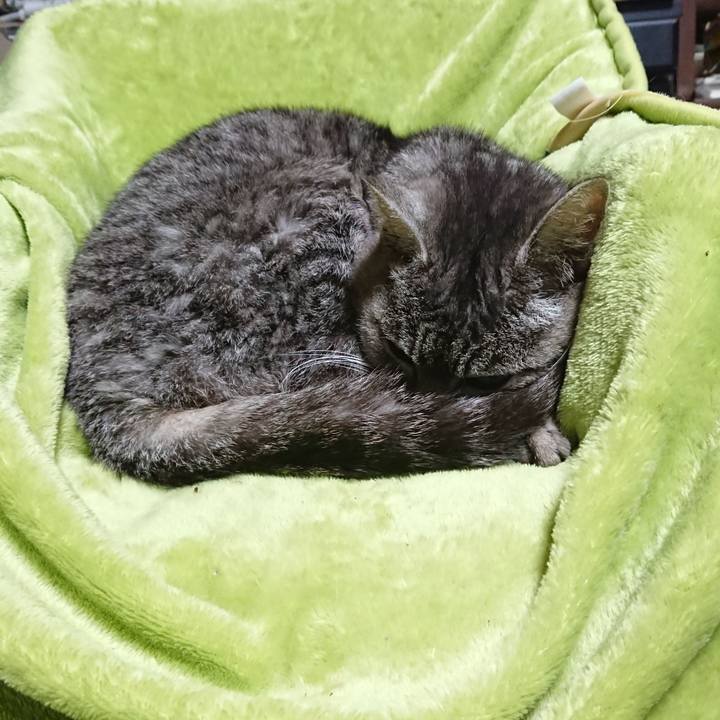 F7eafe22 d3c8 420c 8e4c b49dfaf6c5f9 1584306417427