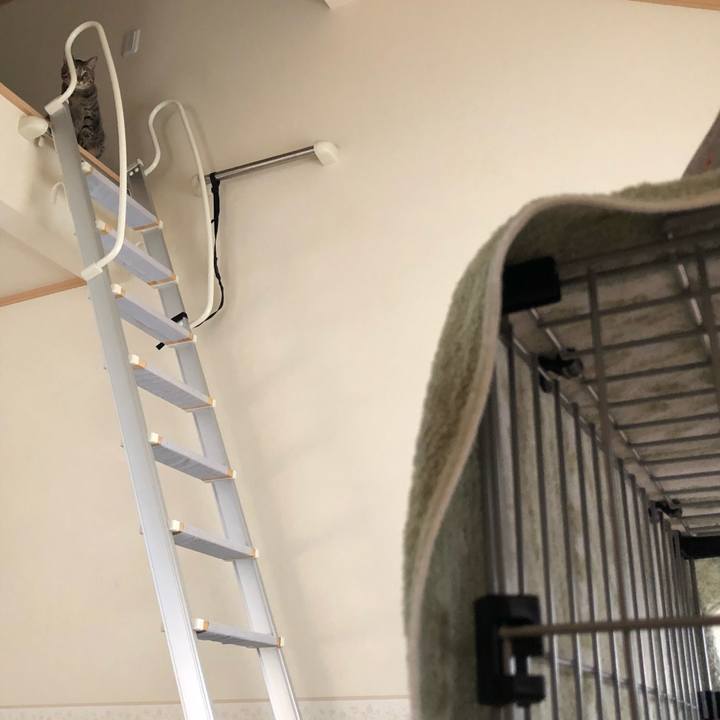 F7ec02ea 7d58 46d8 b838 5522fd58c7b9 1530775377389