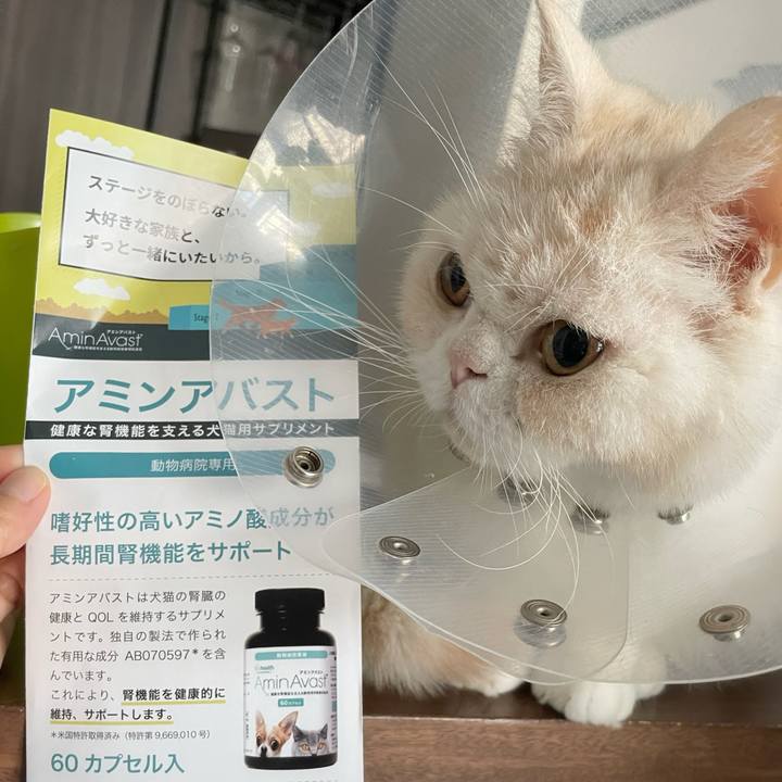 F7ec10ca bd0c 4e8b 8821 a958575aa82e 1763683377290