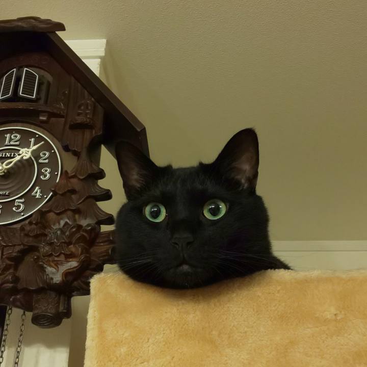 F7ec3899 c452 4432 aa48 f7aeffe0267b 1653138662757