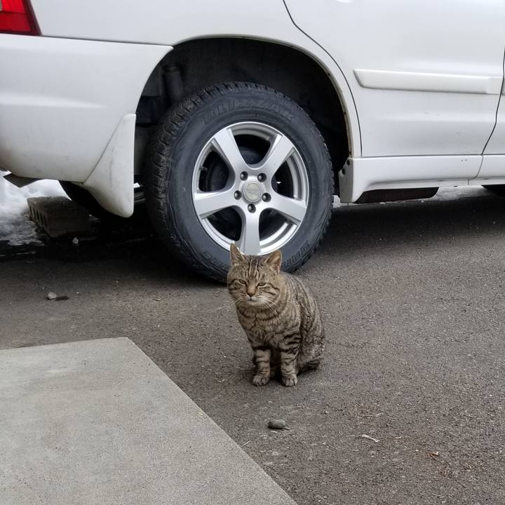 F7ecbd5b ce97 4e7e 8f14 7748ada0572c 1584286679266