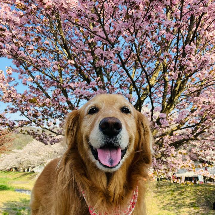 F7ecde9e 1562 47f3 80ab 6ab0a0fe564c 1713856347654