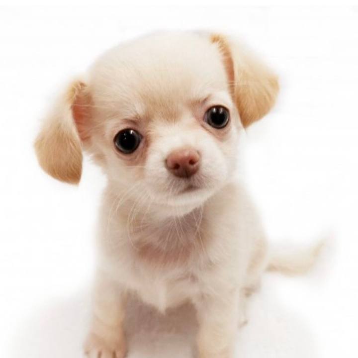 F7ed2690 d920 4857 bc9d efec3c09678e 1593516103705