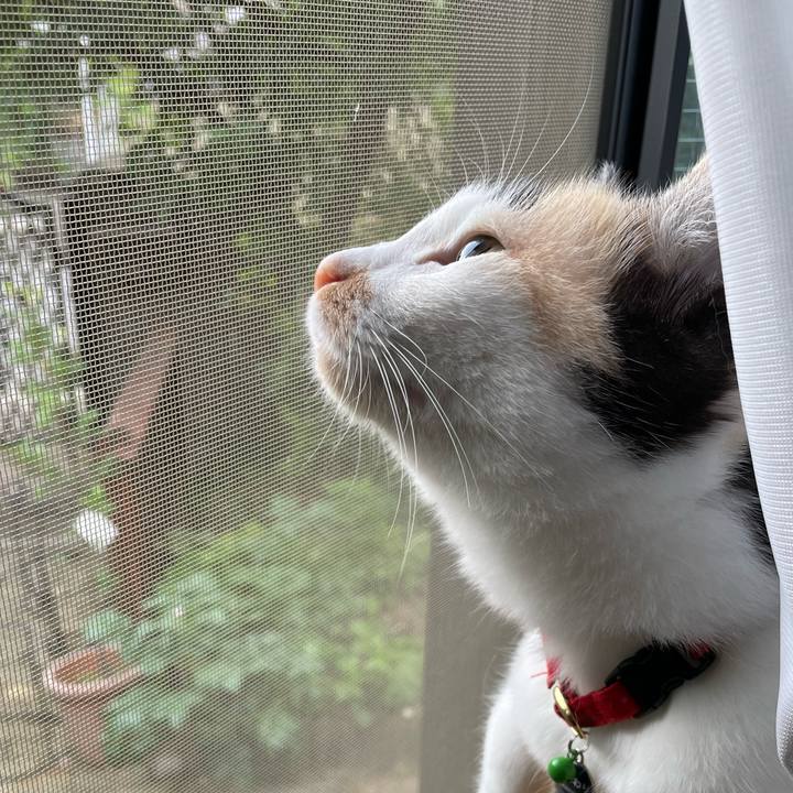 F7edb873 6ef0 465c 8cf5 39f48a98e7b7 1716759524486