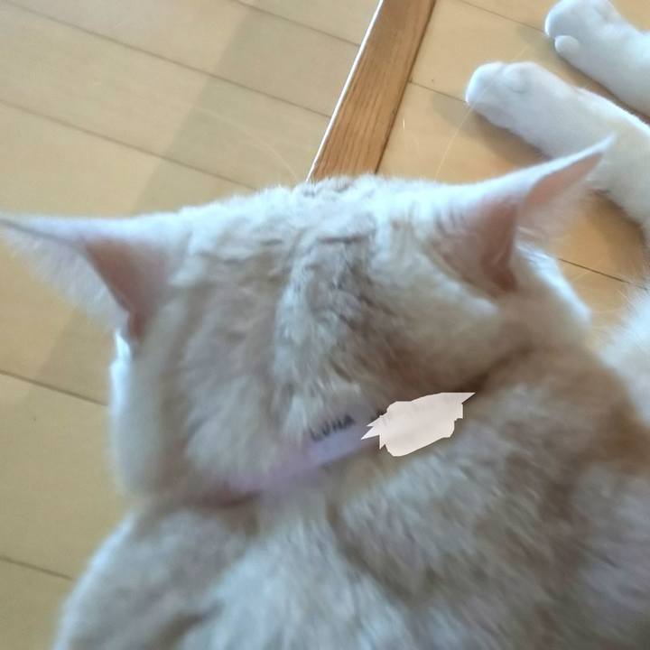 F7edbc5a 7a44 4fd3 a77e 10ca38b80f95 1567141674916