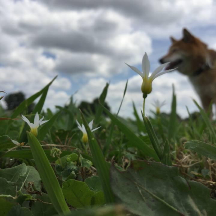 F7ede435 f7de 48e7 b5e5 cade6321bf2f 1559566863893