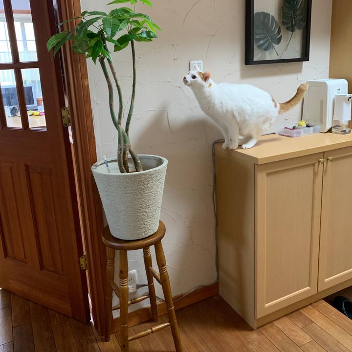 F7edfd68 b512 4584 abe3 5d9ab5f432b5 1651698659188