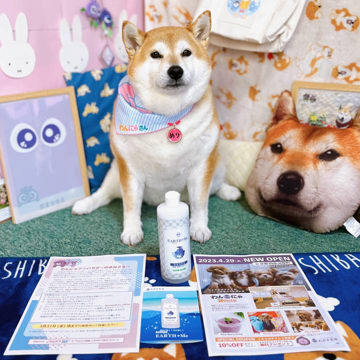 F7ee12cc 9a52 4eaa 9550 432e74811d58 1679104780286