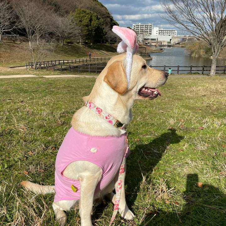 F7ee489d a60b 4c0c 8c95 b6e0b8138452 1642162552327