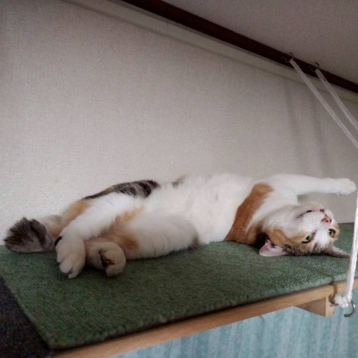 F7ee5d05 9171 4e1a 8829 4d39722d1ef6 1636890780071