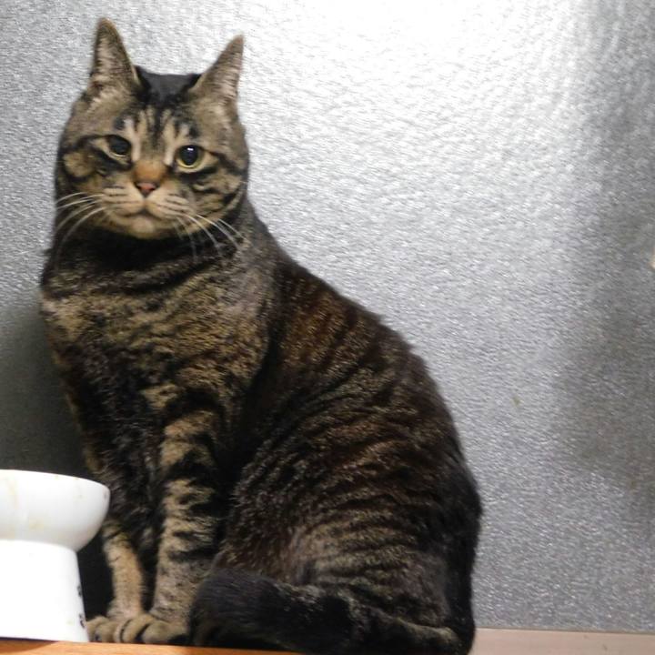 F7ee5f0d bcd0 41db 8027 0f85dfc03241 1617885184215