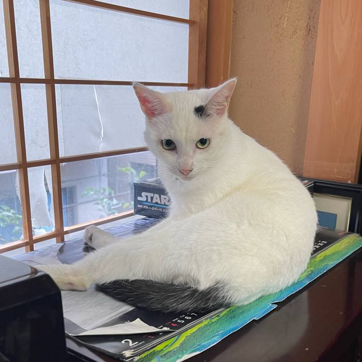 F7ee9a24 3b46 4449 b761 677b984ed45e 1764197662790